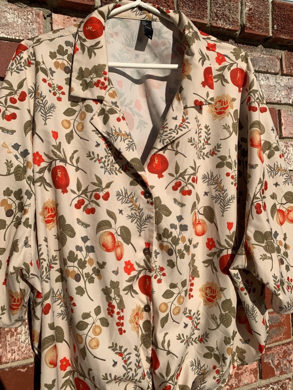 Cider Top